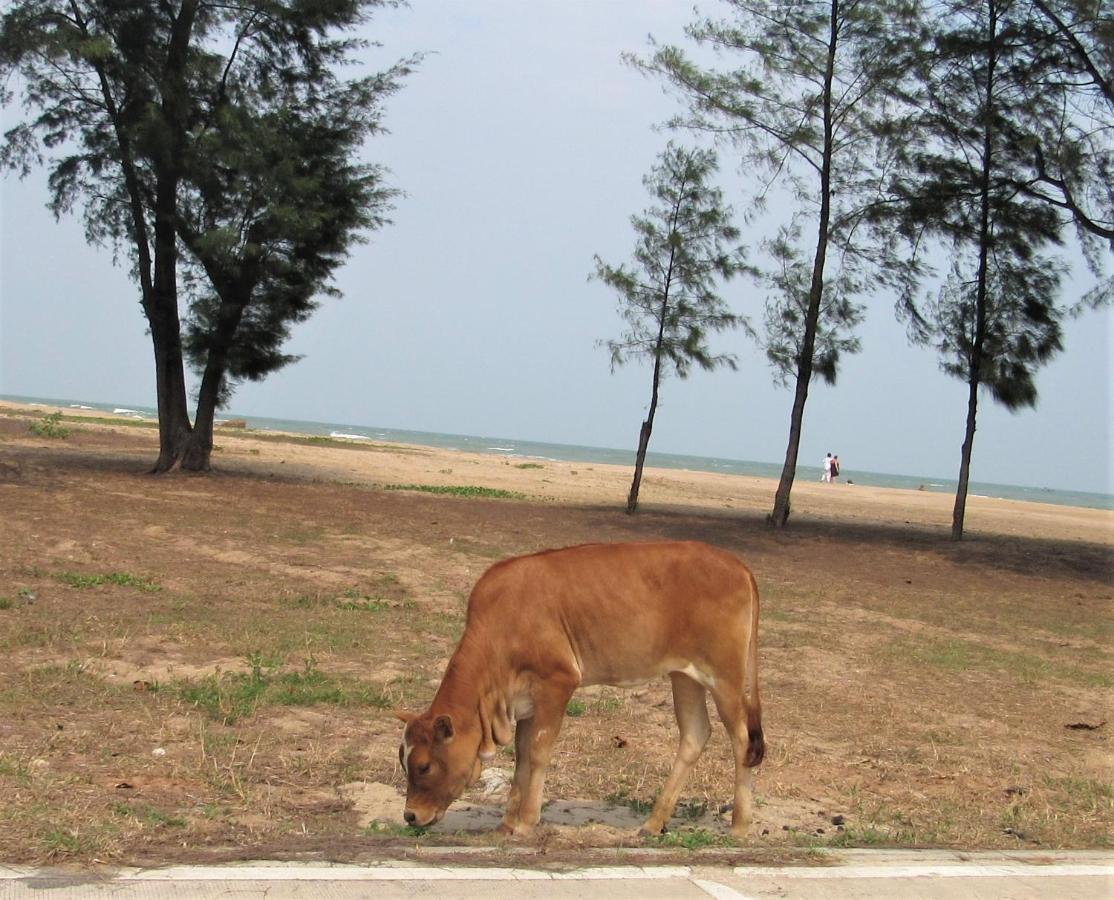 The Sunrise Beach Cafe And Guesthouse บ้านท่าคอย ภายนอก รูปภาพ